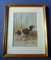 Buy MAUD EARL English Springer Spaniel 'power Of The Dog 1910' Framed Print • 14.90£