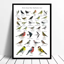 Buy British Garden Birds Identification Chart Wildlife Poster A4 A3 A1 Framed Option • 7.99£