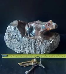 Buy Display Size Petrified Fossilised Wood Frog Sculpture  5kg  Jasper   FREE UK P&P • 300£