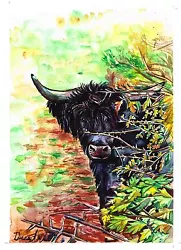 Buy Original Watercolour Painting, Highland Moo Cow, Animal Art, Peek A Boo Cow • 19.99£