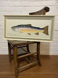 Buy Oil On Board Mid Century Fish Still Life Trout Taxidermy Painting Vintage • 150£