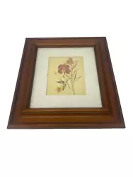 Buy Larkspur Flower Drawing With Solid Wood Frame - I18 O227 • 5.96£