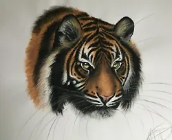 Buy Original Watercolour And Pastel Wildlife Artwork - Tiger Head Portrait • 4.99£