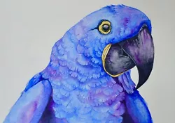 Buy Original Watercolour. Hyacinth Macaw Parrot. Malgorzata Lis. COA • 14.99£