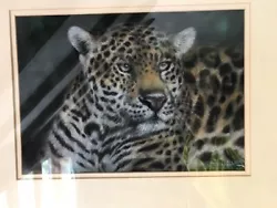 Buy Stunning Original Leopard Pastel Painting By Renown Wildlife Artist Joel Kirk • 250£