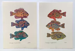 Buy Fishing For Compliments 1&11 Colourful Fish Painting Print By Eileen Klatt • 18£
