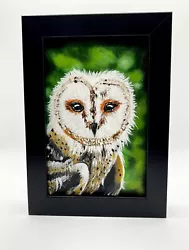 Buy Barn Owl Original Oil Painting- FRAMED Realism Bird Artwork Sale Wildlife Art • 59.99£