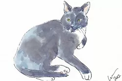 Buy OSWOA Cat Relax Original Watercolour Painting Animals Art Postcard Tuxedo • 7£