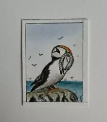 Buy ACEO Art Card Original,  Puffin In Watercolours  • 1.20£