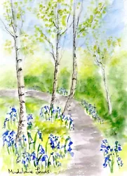 Buy Bluebells And Birch Trees 5.5  X 7.5  Original Watercolour Painting • 8£