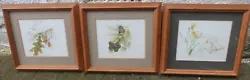 Buy 3 Botanical Water Colours Charles Smith Framed 1978 & 1979 Flowers & Butterfly • 30£