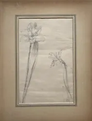 Buy Still Life Osterlilie Yellow Daffodil Erich Hinz Berlin Drawing Vintage Antique • 75.47£