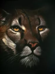 Buy Original Pastel Painting - Puma -big Cat - Tiger Leopard Portrait Fine Art Lion • 169£