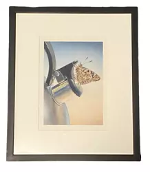 Buy 2002 Paul Pitsker  Steamed  Butterfly Moth Watercolor 18  × 15  Framed Original • 1,038.55£