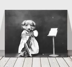 Buy CUTE VINTAGE B&W Dog Dressed Up With Violin - CANVAS ART PRINT POSTER - 36x24  • 28.98£