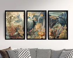 Buy James M Sommerville Ocean Life Triptych Set Of 3 Art Print Painting Poster • 199£