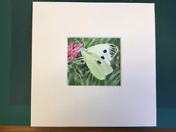 Buy Original Mounted Watercolour Of A Large White Cabbage Butterfly • 7.50£