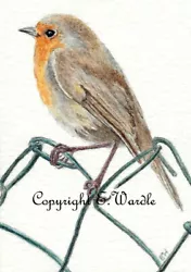Buy ACEO 2.5  X 3.5  CANVAS PRINT Of Watercolour 'Robin On Wire Fence' Bird • 2.99£