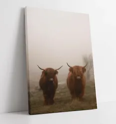 Buy Highland Cows 6 Large Canvas Wall Art Float Effect/frame/picture/poster Print • 12.99£