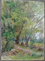 Buy Sketch Of A Path In The Forest Original Oil Painting On Cardboard 34x25cm  • 22£