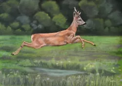 Buy Painting, Drawing, Painting, Hunting, Brocard, Deer, Roe Deer • 94.21£