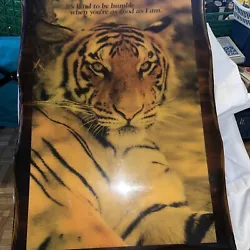 Buy Kosta Products Tiger Glossy Wooden Picture 16.5 Inches By 23.5 Inches  • 10£