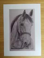 Buy RACE HORSE PICTURE Equine A5 Unframed Print Gift Original Drawing Animal Art  • 1.25£