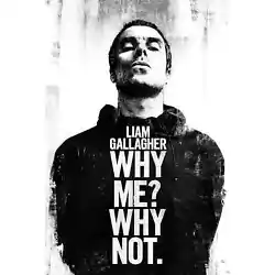 Buy (020) NEW LIAM GALLAGHER WHY ME WHY NOT OASIS MAXI WALL POSTER 61cm X 91.5cm • 7.99£