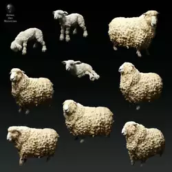 Buy ADM1016 Devon And Cornwall Longwool Sheep And Ram Set • 3.29£