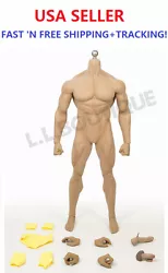 Buy 1/6 Scale Phicen Super Flexible Male Muscular Seamless Body PL2016-M34 • 79.38£