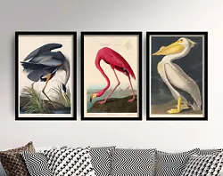 Buy Great White Heron Set Of 3 Art Prints By John James Audubon, Poster Painting • 19£