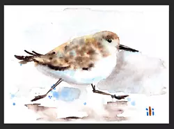 Buy ACEO Watercolor Print Cute Running Sand Piper Fine Art Painting • 3.50£