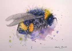 Buy ORIGINAL Signed Watercolour Painting BEE Insect Flower Wildlife Art Clare Crush • 23.99£