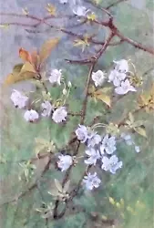 Buy   Wild Cherry Blossom   Vintage Print Of A Painting By Beningfield • 2.99£