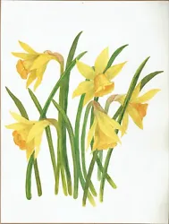 Buy Charming Mid Victorian Watercolour Of A Wild Flower Display, Daffodils • 8.99£