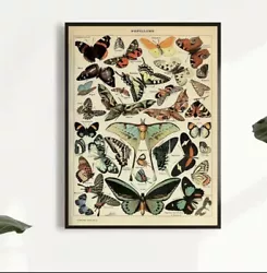Buy Butterfly/ Papillon, Print On Waterproof Canvas 21cm X 30cm, Unframed • 18£