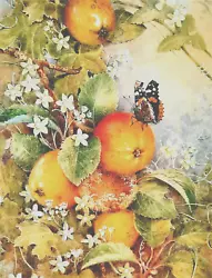 Buy Red Admiral Butterfly On Apple,  Book Print Of A Painting  By G. Beningfield • 2.09£