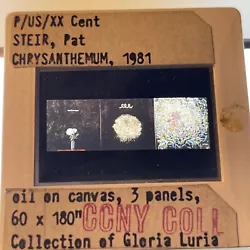 Buy Pat Steir “Chrysanthemum   Modern American Art 35mm Art Slide • 10.62£