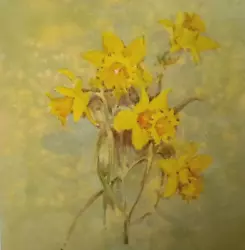 Buy Daffodils,  Book Print Of A  Painting By Gordon Beningfield • 1.99£