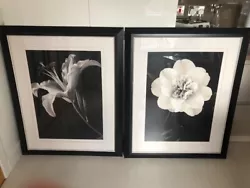 Buy Two Large, Lovely Black/white Pictures From Next • 40£