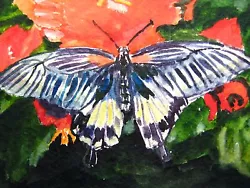 Buy Butterfly Red Flower Insect Nature Garden Painting ACEO Art • 11.99£