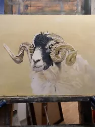 Buy Sheep Ran Farm Animal  Unique  Art By Artist David Tarrant. 16x20inches • 260£