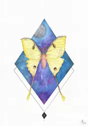 Buy ' Luna Moth ' - Watercolour Original - A4 Size • 12.99£