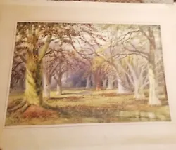 Buy New Forest Scene, HAMPSHIRE. Unknown Artist Beautiful Watercolour • 25£