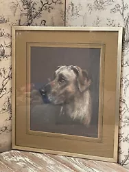 Buy 20th Century English Pastel On Board Of A Great Dane Dog - By M H Nicholas • 99£