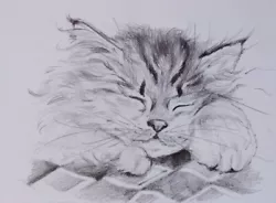 Buy ACEO Cat Drawing Watercolor Pencil By The Author Original Not Print 3,5 х2,5  • 9.45£