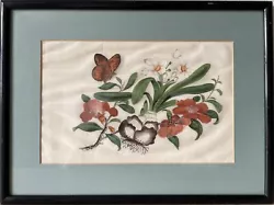 Buy Antique Painting Watercolour Still Life Flowers Plant Daffodils Butterfly • 112.80£