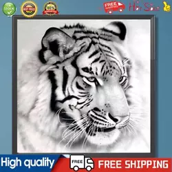 Buy Paint By Numbers Kit DIY Tiger Hand Oil Art Picture Craft Home Wall Decor(H1248) • 5.14£