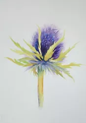 Buy Original Watercolour Painting Flowers. Thistle. Malgorzata Lis. COA • 9.99£