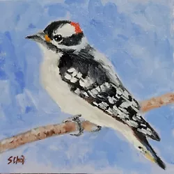 Buy Downy Woodpecker, Original Bird Oil Painting, 6x6 Inch Unframed • 33.15£